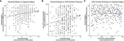 Corrigendum: Lateral prefrontal cortex thickness is associated with stress but not cognitive fatigue in exhaustion disorder